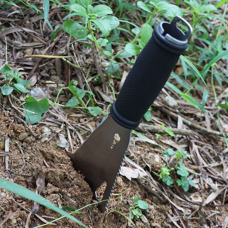 WwaoHbd1c384ac9404eee8556181a22a56b8dG